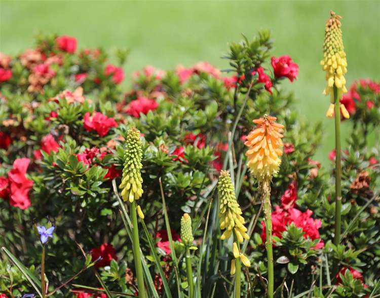 145 Hall Road Rangiriri_42