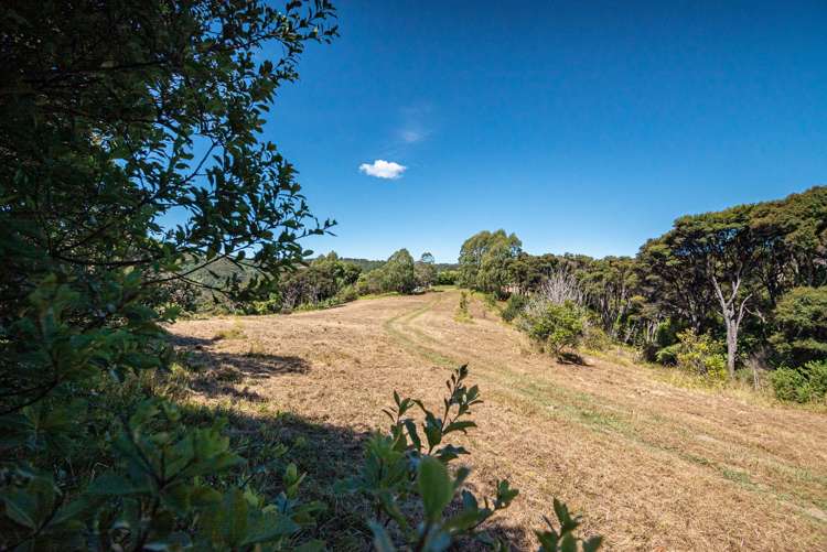 100 Musson Drive Waiheke Island_5