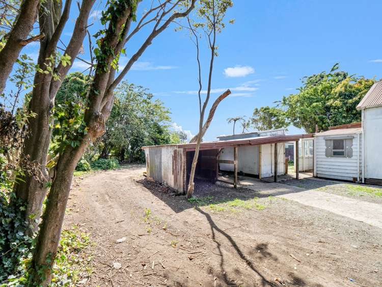 41 Gloag Street Waverley_26