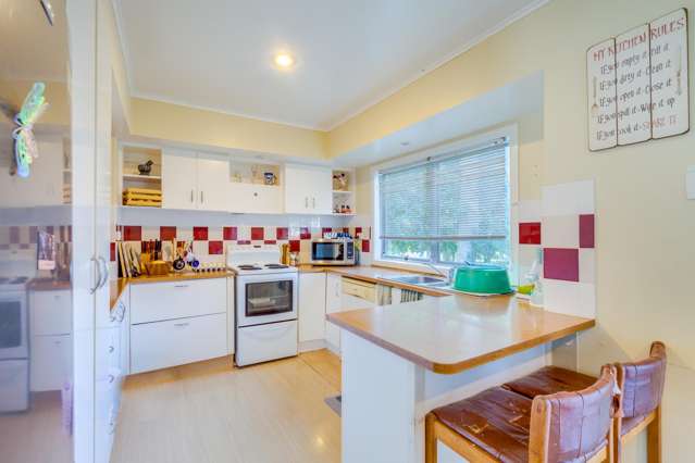 13 Birdwood Road Pukekohe_2