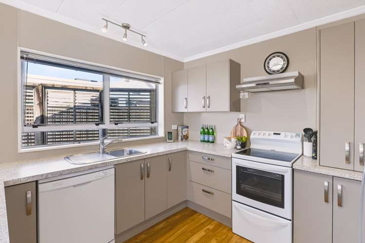13B Huatoki Street Vogeltown_6