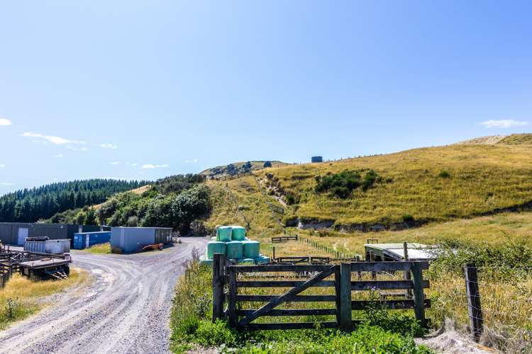 659 Whangamata Road Kinloch_17