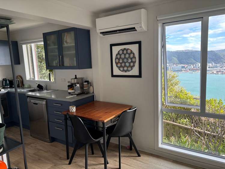 39B Robieson Street Roseneath_3