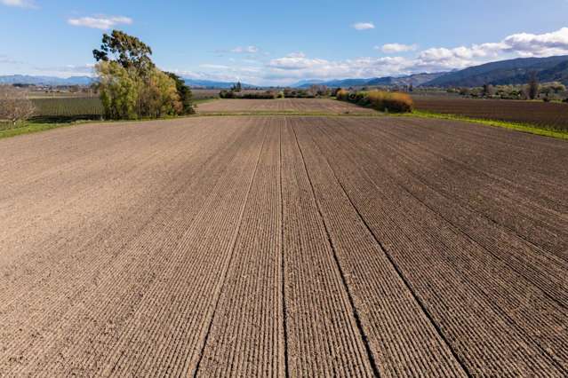 150 Selmes Road Rapaura_4