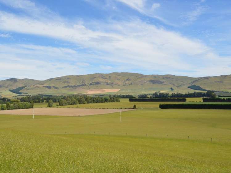 485 Nine Mile Road Riversdale_9