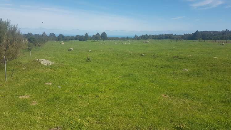 341 Puniho Road Newall_14