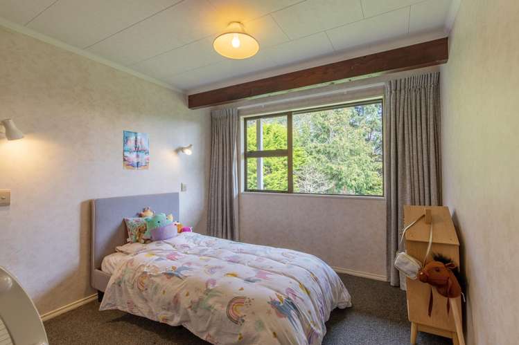 134B Tipapakuku Road Dannevirke_20