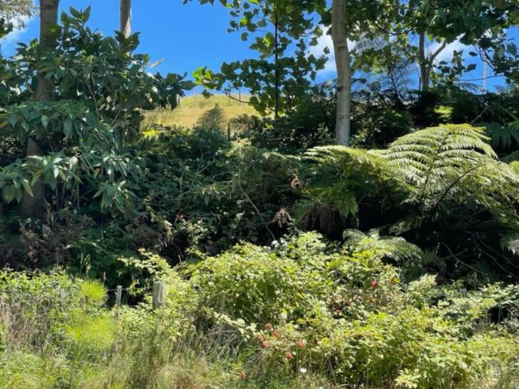 500 Reid Road Papamoa_31