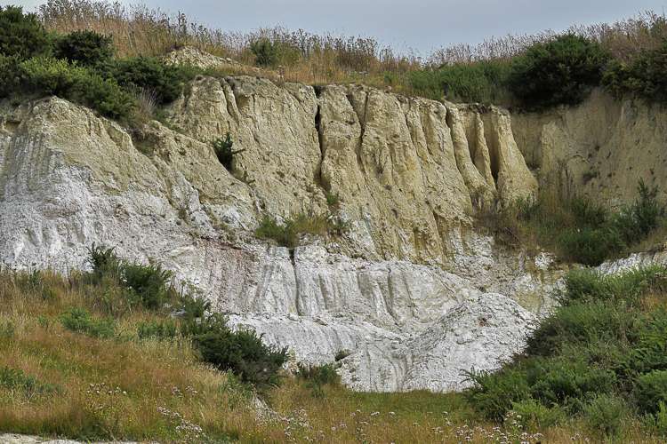 217 Benhar Road Balclutha_20