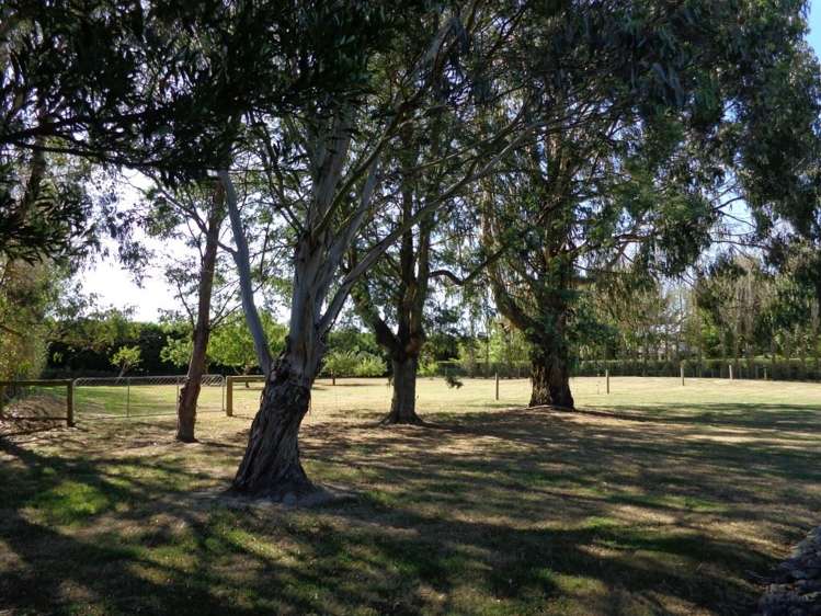 36 Stott Drive Darfield_4