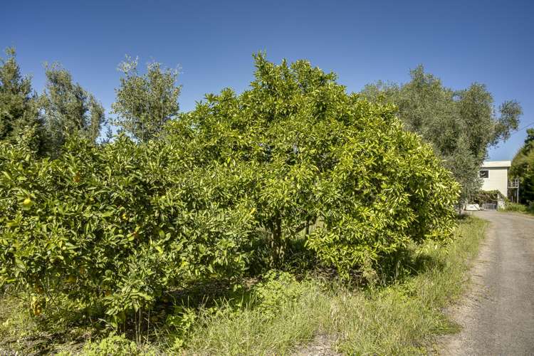 1778 Pakowhai Road Pakowhai_12