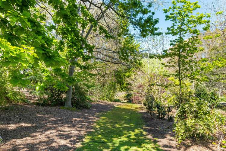 121 Enfield Drive Pakipaki_18