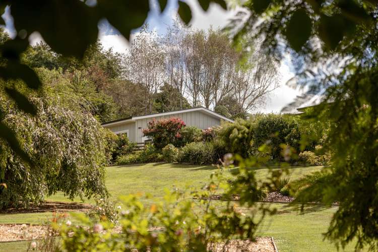 85 Plummer Road Whakamarama_15