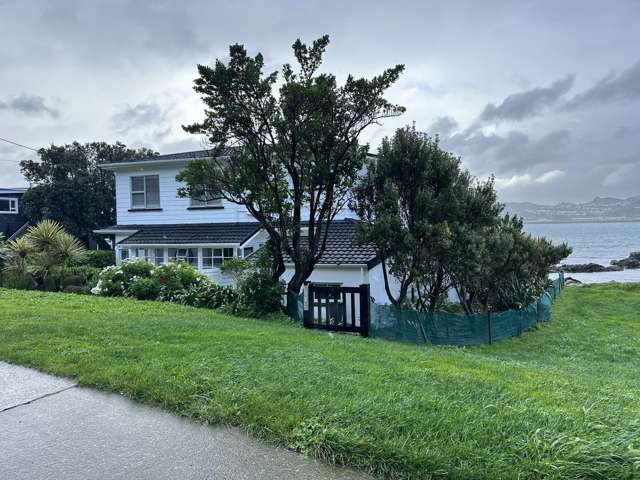 281 Queens Drive Lyall Bay_3