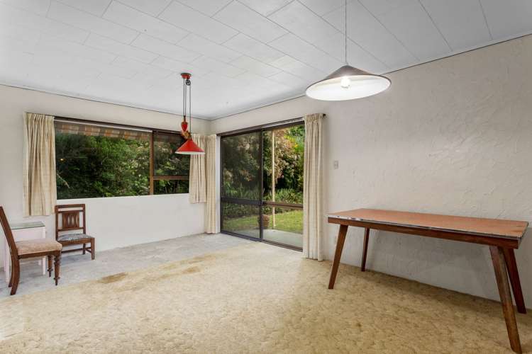 121 Reeves Road Opotiki and Surrounds_23