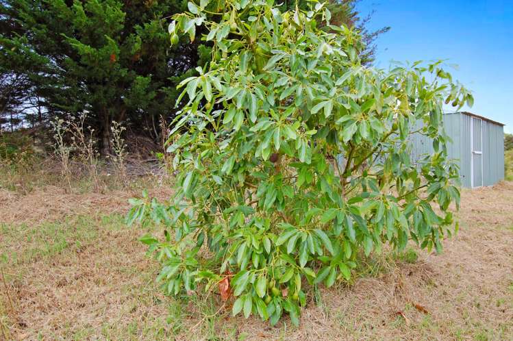306D Oneriri Road Kaiwaka_18