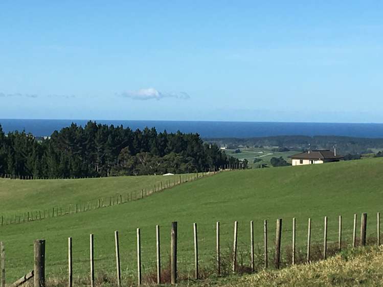 281 Cames Road Kaiwaka_3