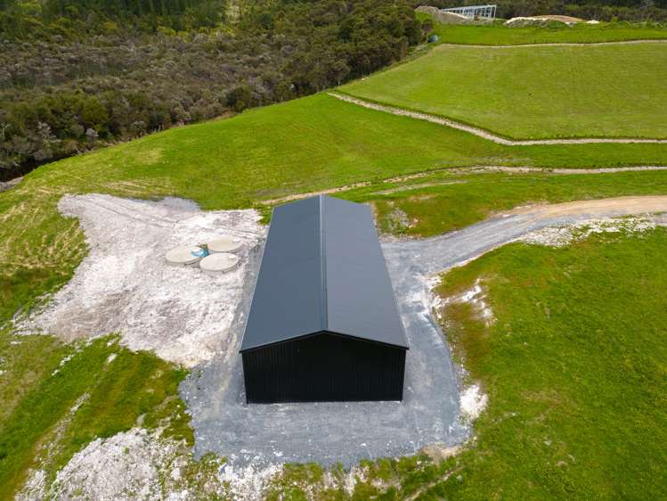 29 Halo Rise Whareora_3