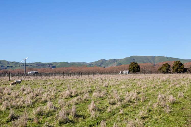 Lot 3 Dakins Road East Taratahi_18