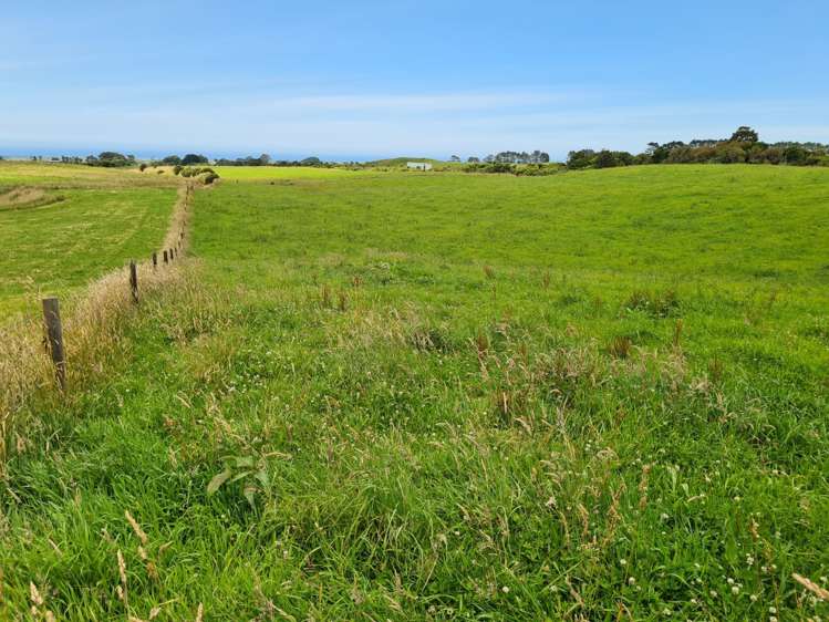 1528 Wiremu Road Rahotu_6