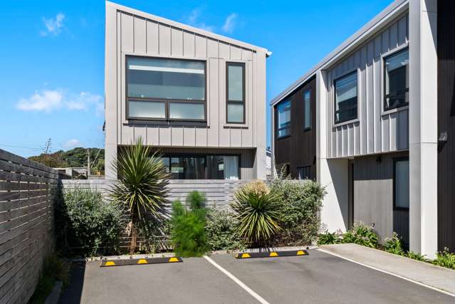 1/3 Mamari Street Rongotai_2