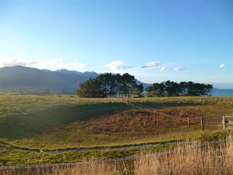 25 Shearwater Drive Kaikoura_4