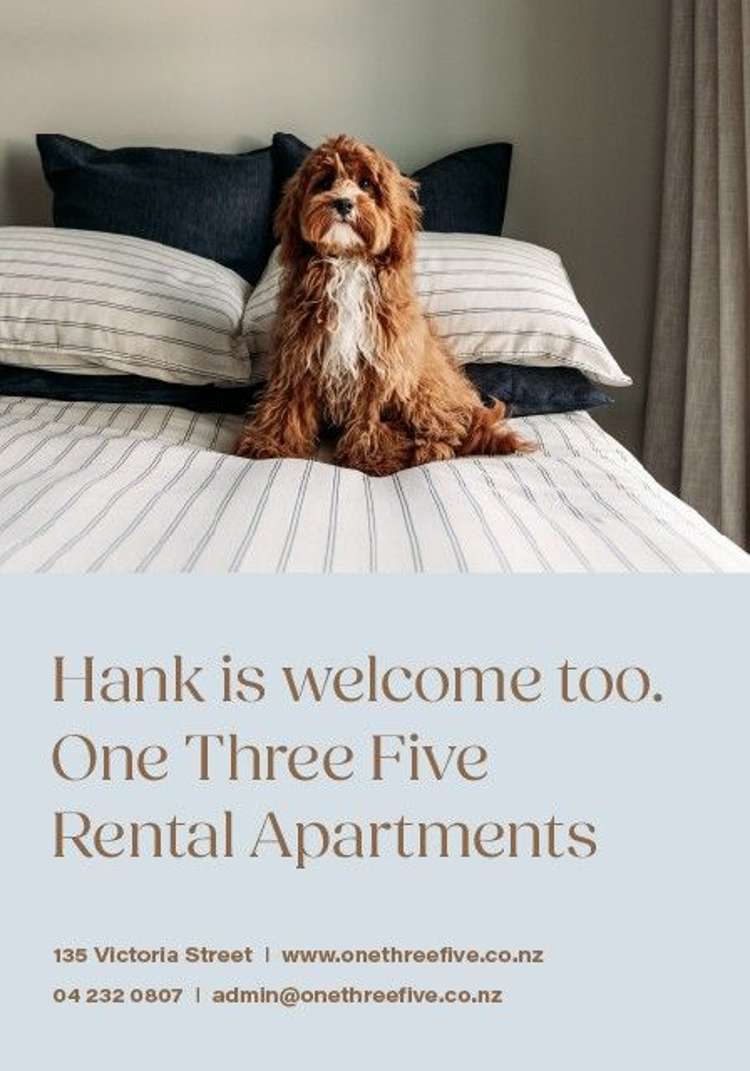 135 Victoria Street Te Aro_8