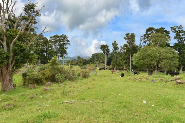 145 Bint Road Maungakaramea_7