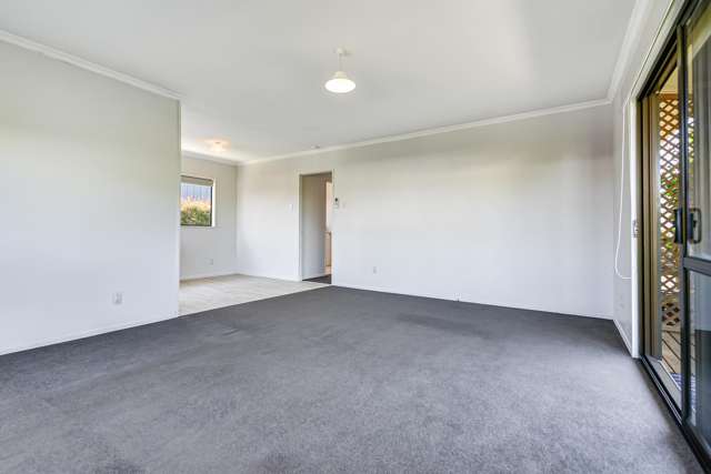 67A Campbell Street Frankton_4