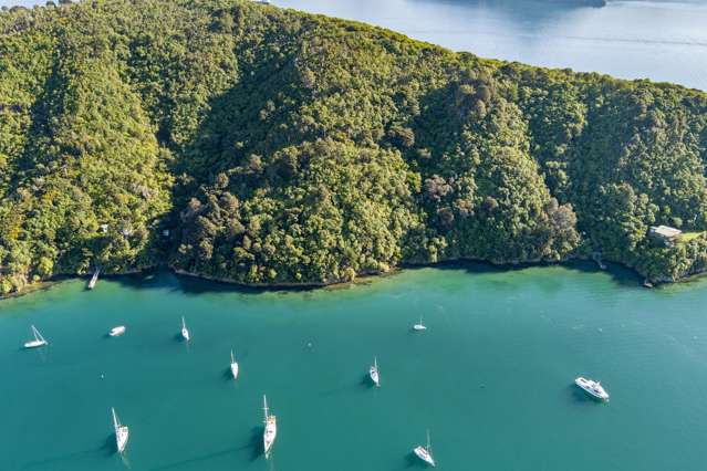 The Snout Waikawa Bay Picton_1