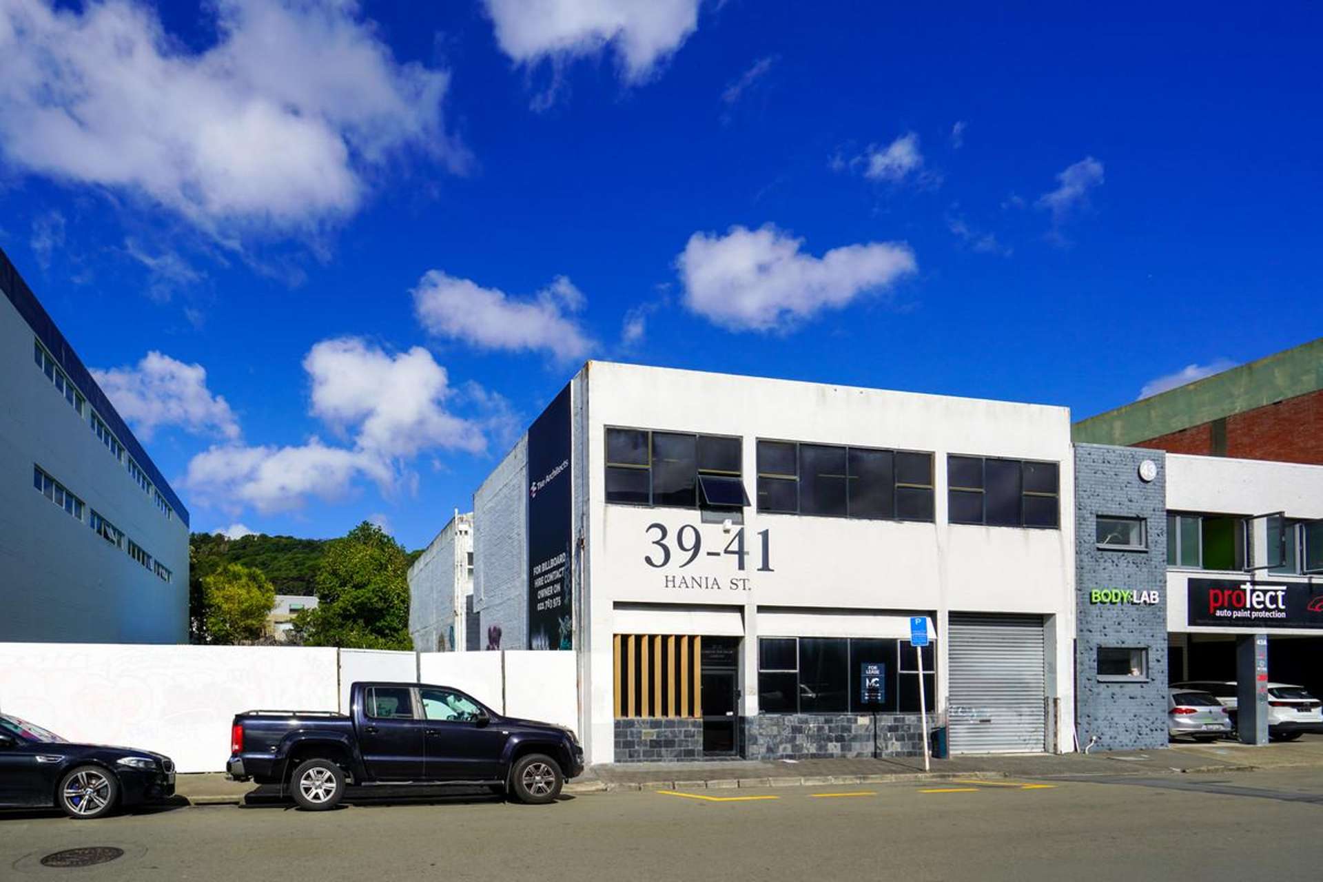 39-41 Hania Street Mount Victoria_0