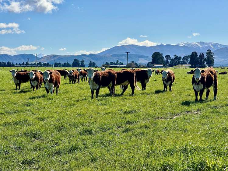 231 Keens Road Sheffield_2