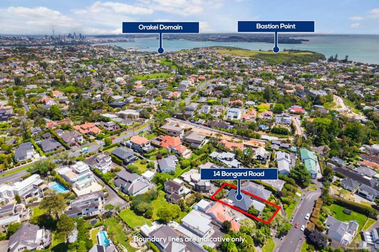 14 Bongard Road Mission Bay_36