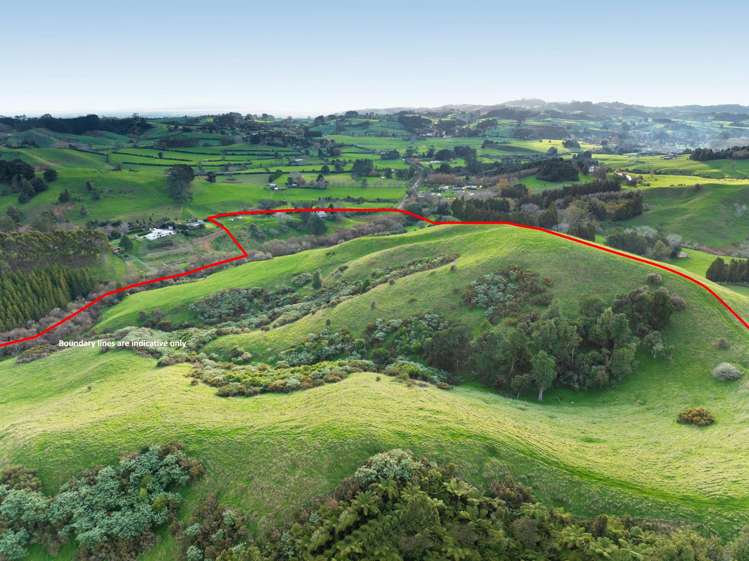 173 Dunn Road Ararimu_28