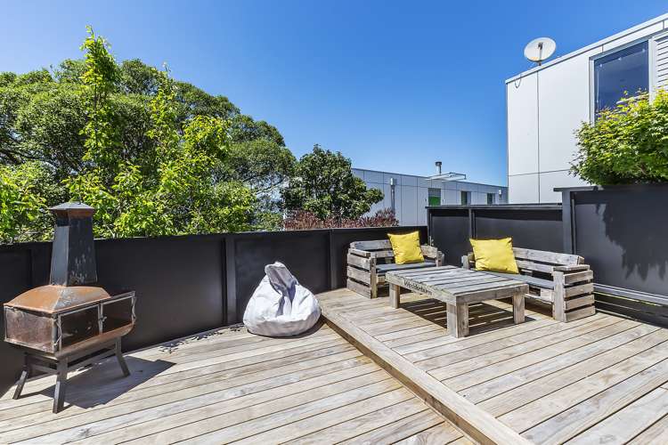 8/25 Mana Street Vogeltown_12