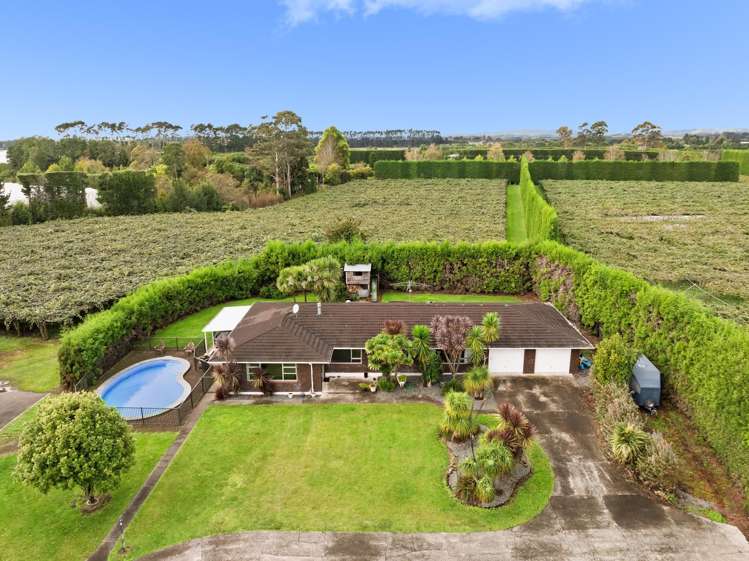 236 Walker Road East Aongatete_5