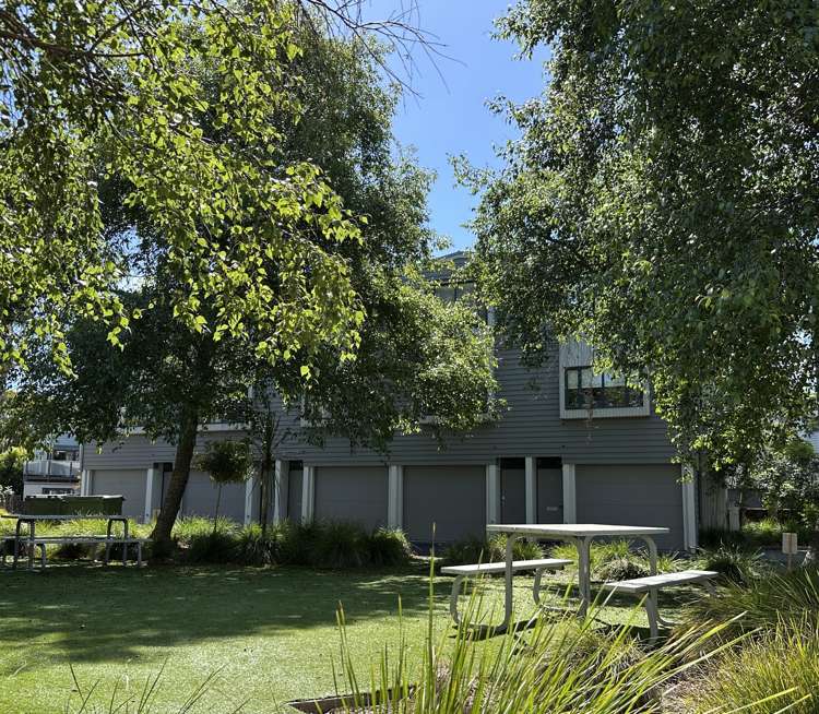 3 Dovedale Place Parnell_22