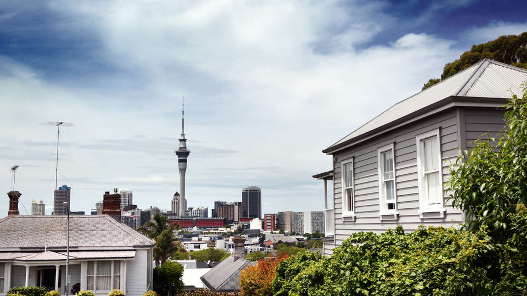 Auckland housing market 'reined in' though still rising