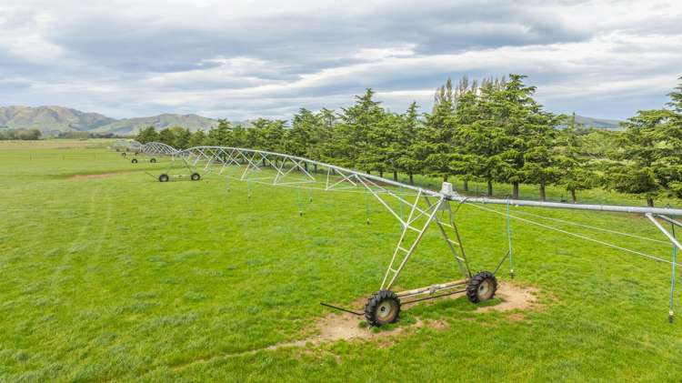 62 Waiau West Road Cheviot_13