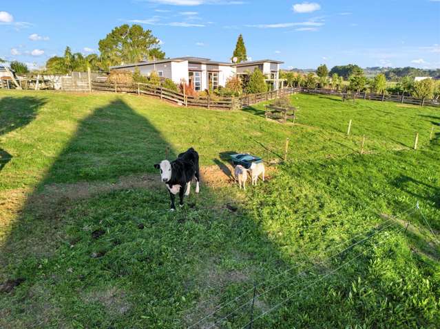 351 Henwood Road Hillsborough_3