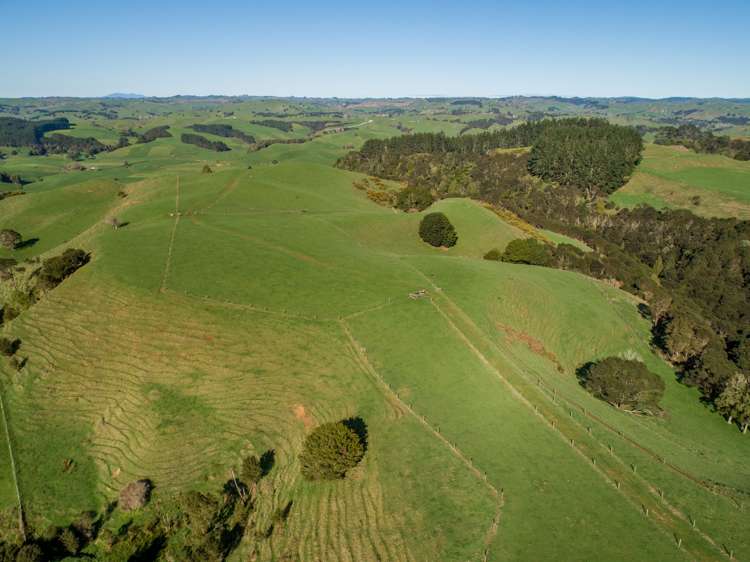 416 Kauri Road Onewhero_17