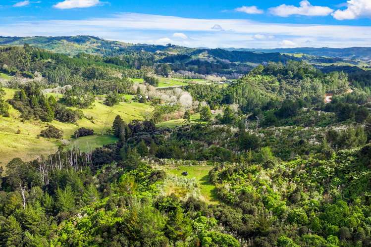 Lot 3 Radiata Road Warkworth_29