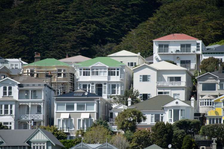 72 Hawker Street Mount Victoria_2