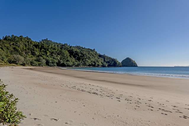 Pristine land on Coromandel Peninsula sold