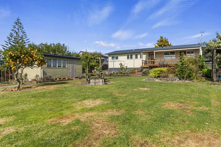 11 Bridgman Road Te Awamutu_0