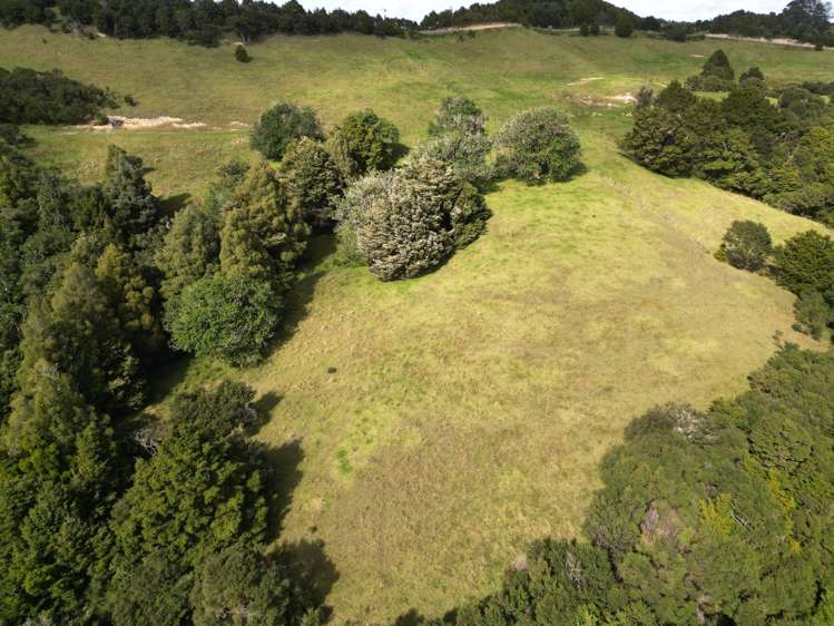 583 Lusk Road Ruawai_22