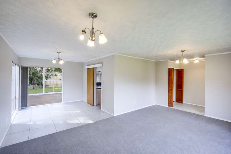 4 Alley Place Taradale_7