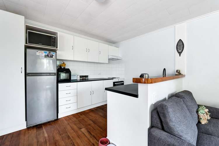 188 Huatoki Street Upper Vogeltown_2