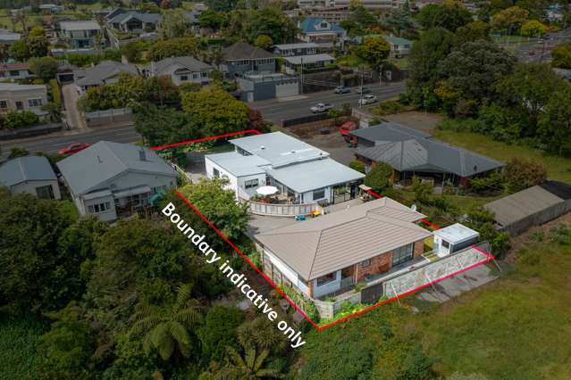 184 Tukapa Street Westown_1