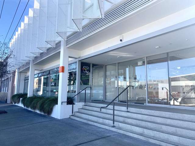 17 Maidstone Street Grey Lynn_4